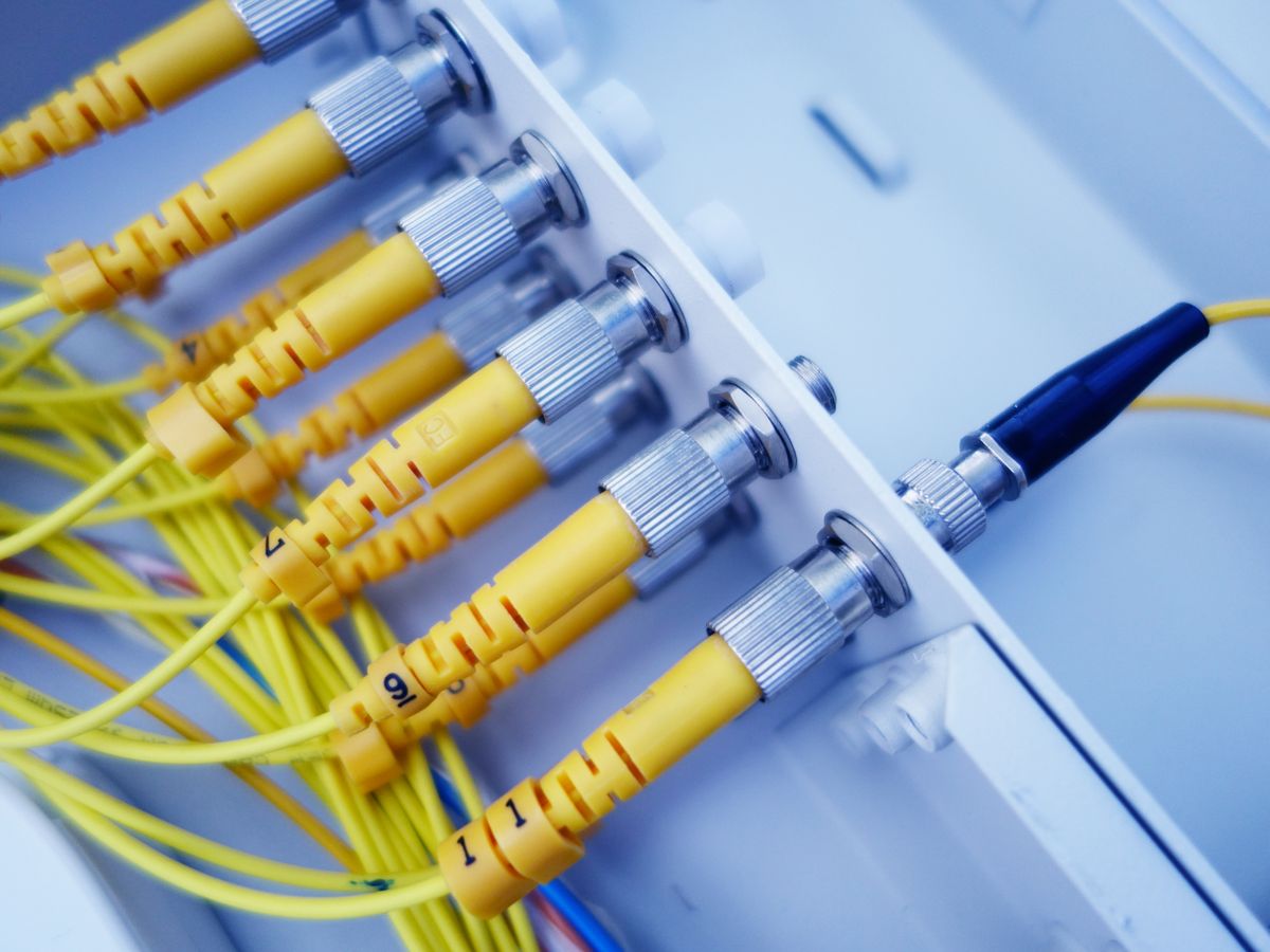 Fiber optic cables in a network patch panel